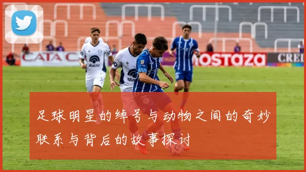 足球明星的绰号与动物之间的奇妙联系与背后的故事探讨