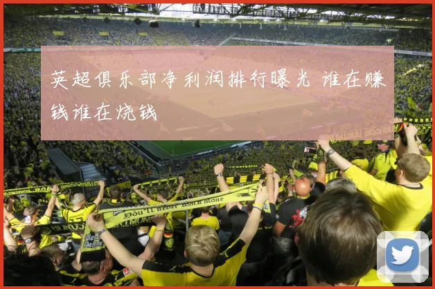 英超俱乐部净利润排行曝光 谁在赚钱谁在烧钱