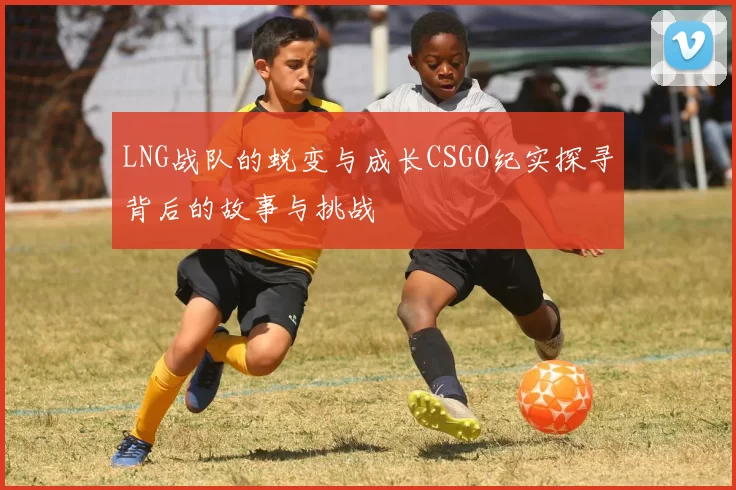 LNG战队的蜕变与成长CSGO纪实探寻背后的故事与挑战