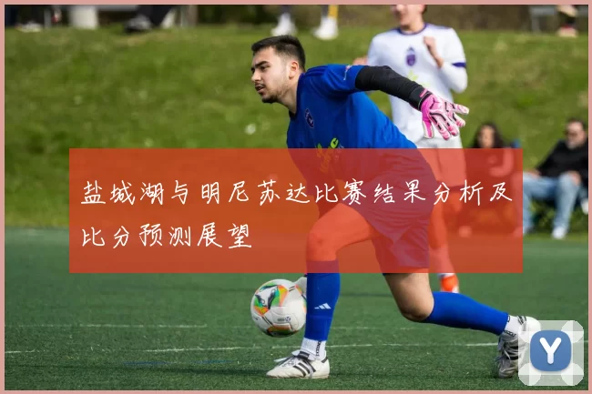 盐城湖与明尼苏达比赛结果分析及比分预测展望