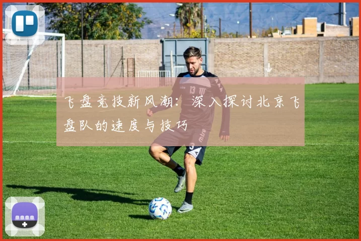 飞盘竞技新风潮：深入探讨北京飞盘队的速度与技巧