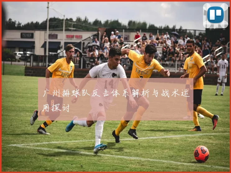 广州排球队反击体系解析与战术运用探讨
