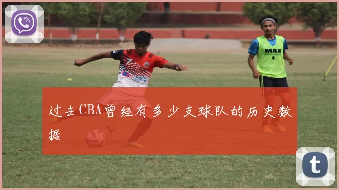 过去CBA曾经有多少支球队的历史数据