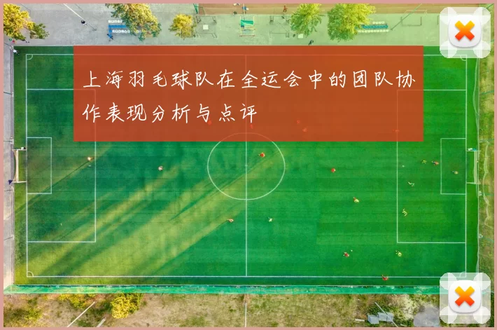 上海羽毛球队在全运会中的团队协作表现分析与点评