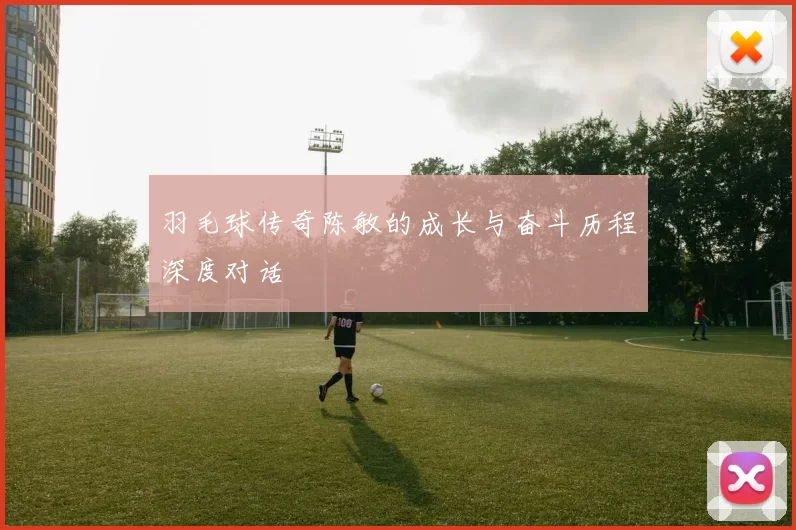 羽毛球传奇陈敏的成长与奋斗历程深度对话