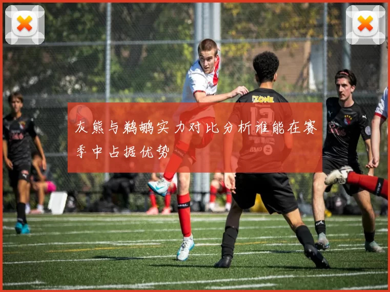 灰熊与鹈鹕实力对比分析谁能在赛季中占据优势
