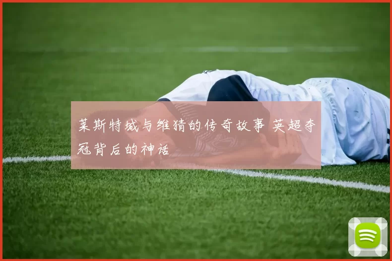 莱斯特城与维猜的传奇故事 英超夺冠背后的神话