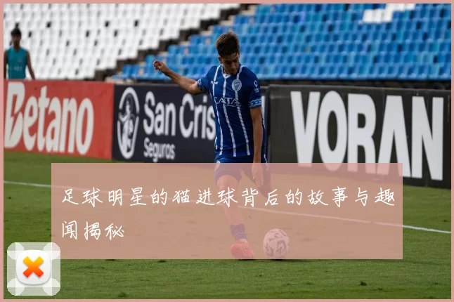 足球明星的猫进球背后的故事与趣闻揭秘
