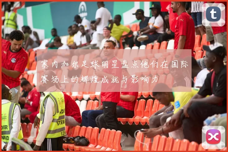 塞内加尔足球明星盘点他们在国际赛场上的辉煌成就与影响力