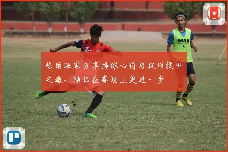 陈丽独家分享排球心得与技巧提升之道，助你在赛场上更进一步